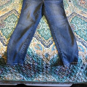 Torrid Blue Straight Leg Jeans with Classic Style